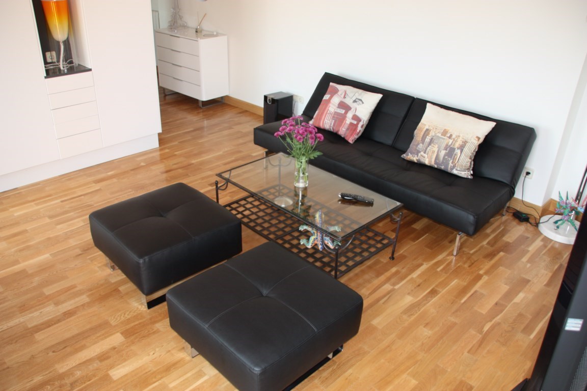 Rent Madrid Penthouse Living Room